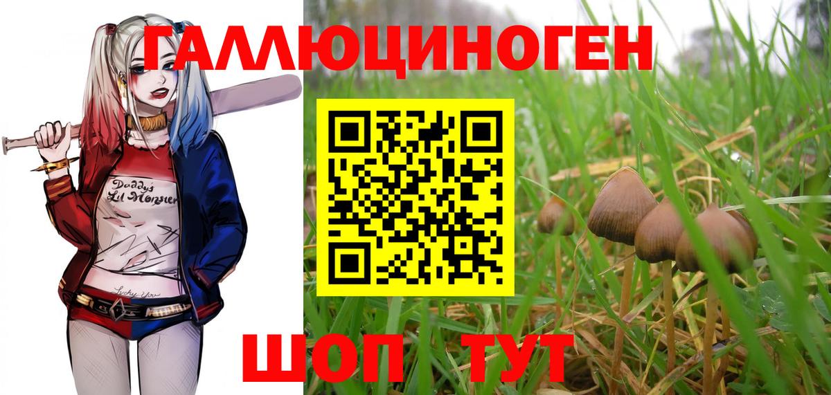 Галлюциногенные грибы MAGIC MUSHROOMS Мариинск