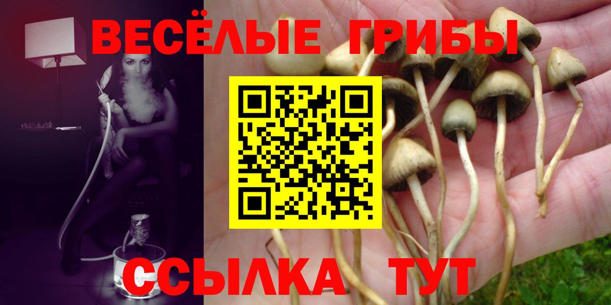 Псилоцибиновые грибы GOLDEN TEACHER  Вход с VPN  Мариинск 